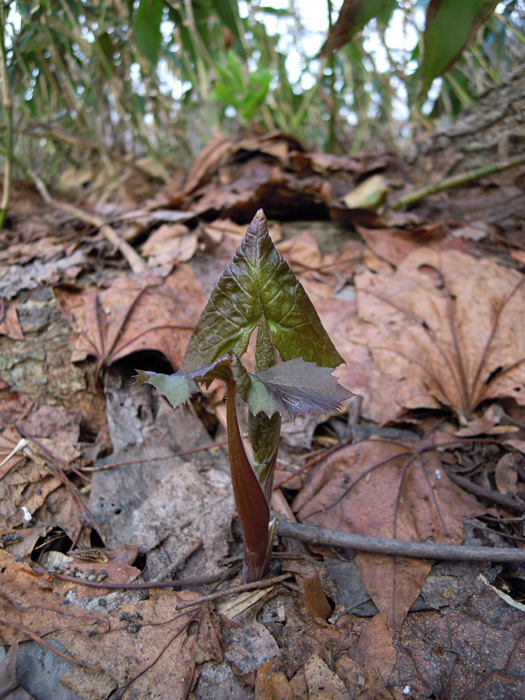 120419-06.jpg