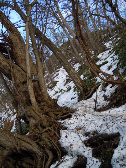 120419-08.jpg