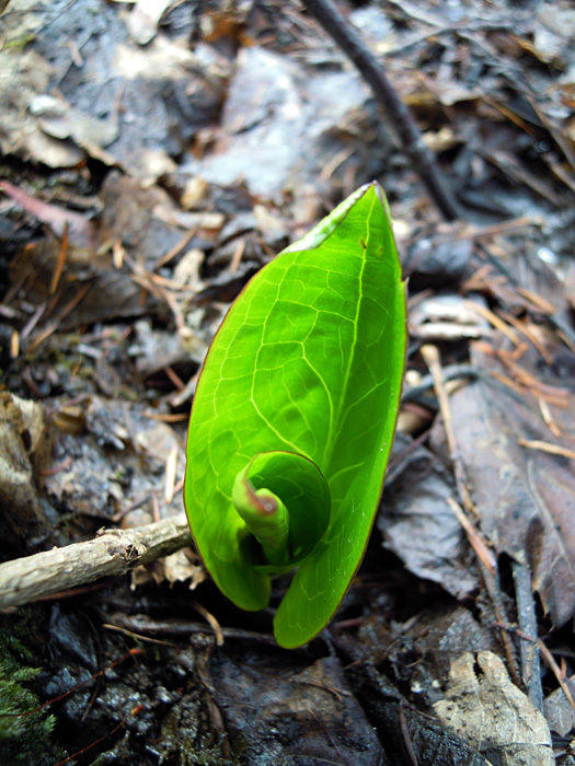120420-01.jpg
