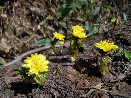 120425-03.jpg