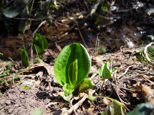 120425-05.jpg