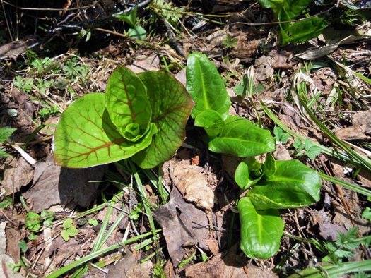 120425-06.jpg