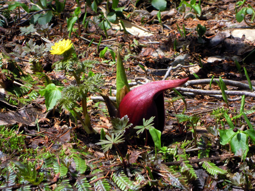 120425-07.jpg