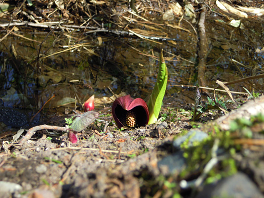 120425-08.jpg