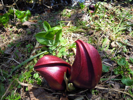 120425-09.jpg