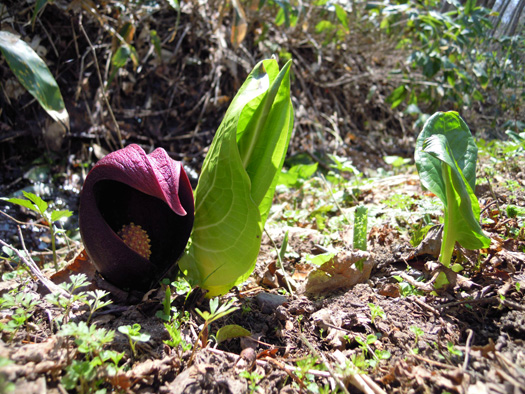120425-10.jpg