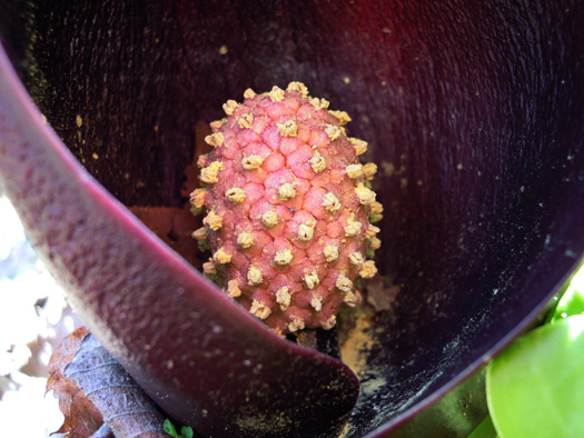 120425-12.jpg