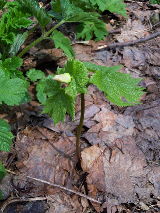 120427-01.jpg