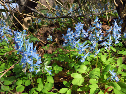 120427-03.jpg