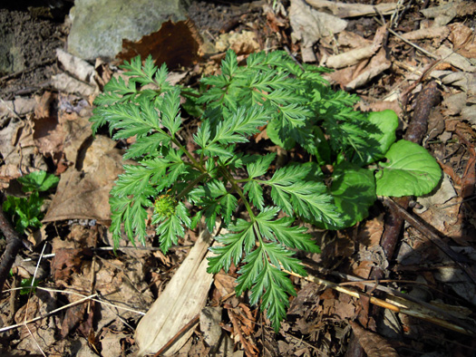 120427-04.jpg
