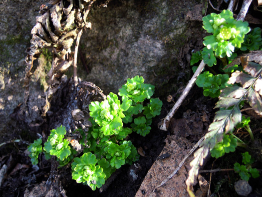 120427-06.jpg