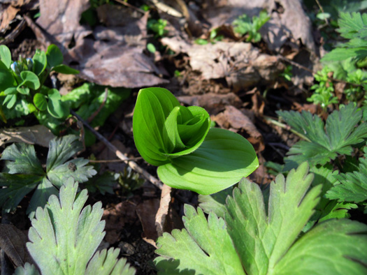 120427-08.jpg