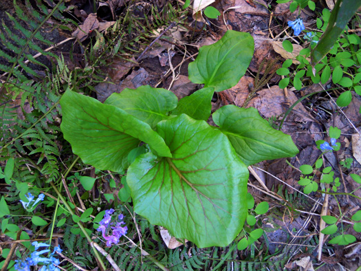 120427-09.jpg