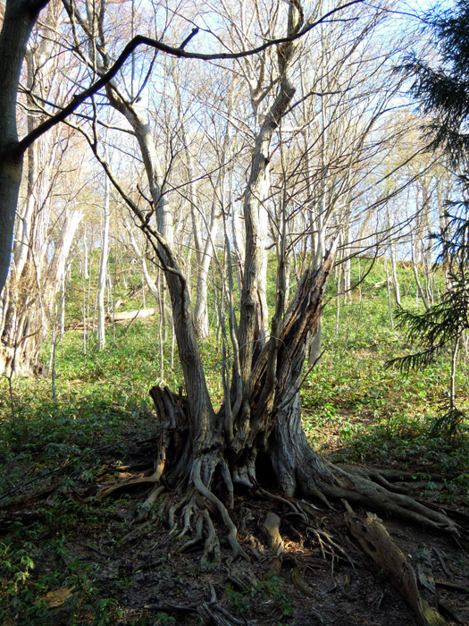 120427-12.jpg