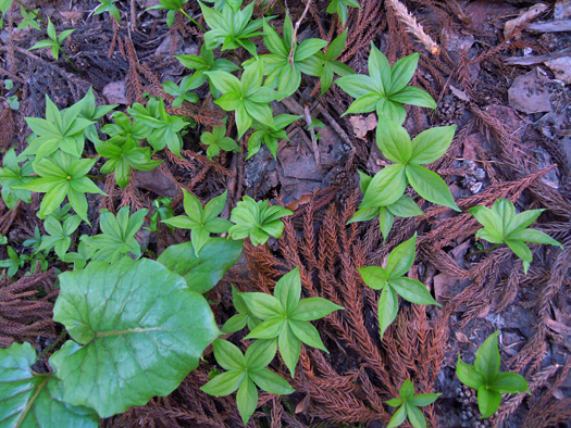 120427-13.jpg