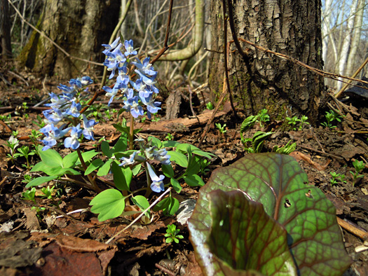 120428-01.jpg