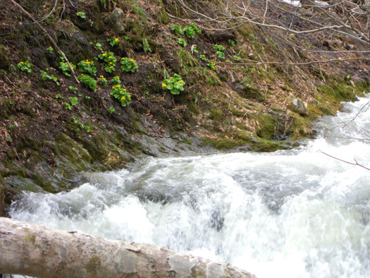 120428-03.jpg