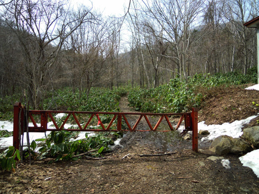 120428-04.jpg