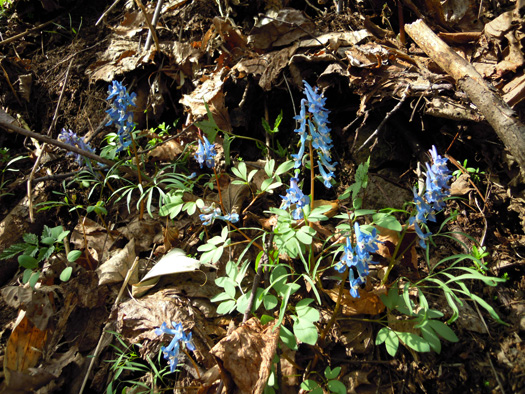 120428-05.jpg