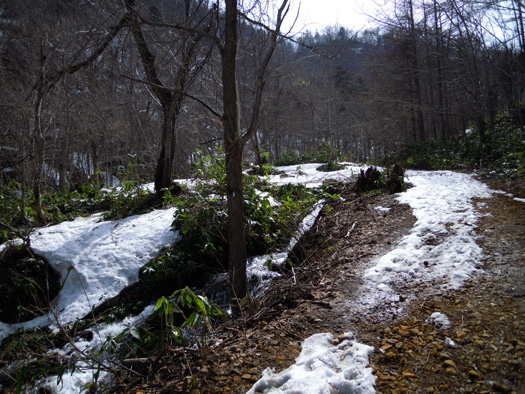 120428-06.jpg