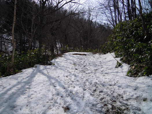 120428-07.jpg