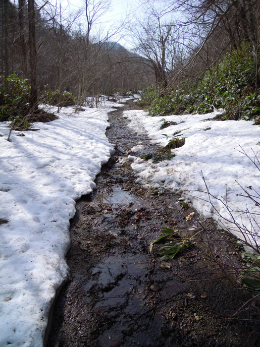 120428-08.jpg