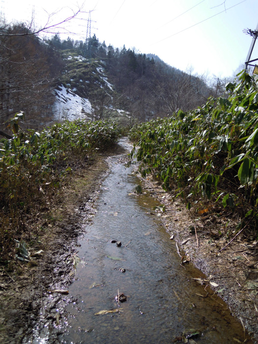 120428-09.jpg