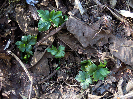 120428-13.jpg