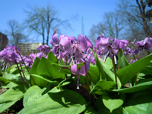120430-01.jpg