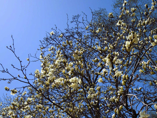 120430-03.jpg