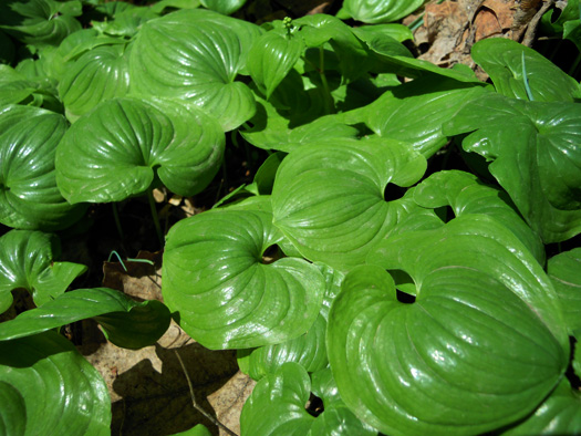 120430-06.jpg