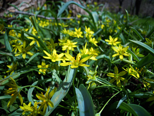 120430-07.jpg