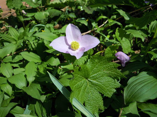 120430-08.jpg