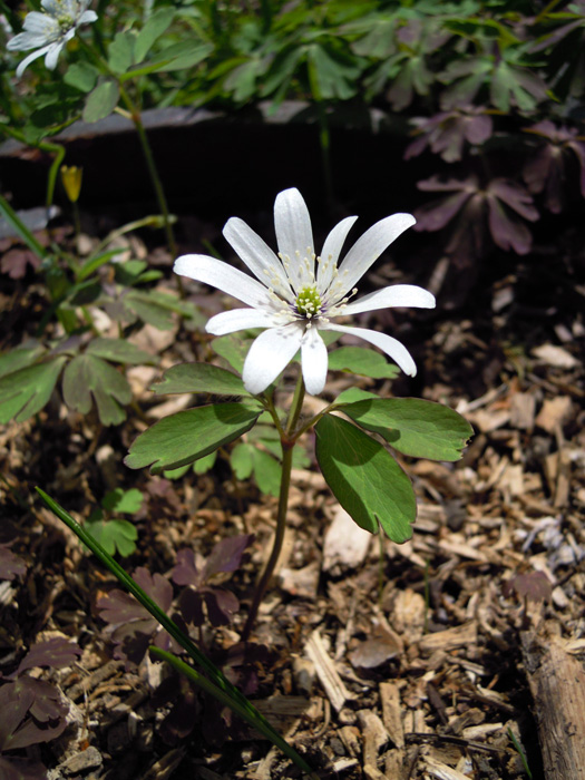 120430-09.jpg