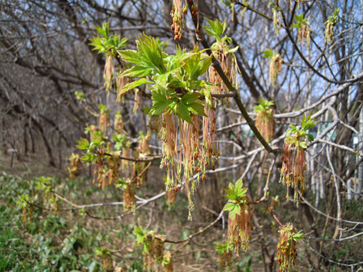 120430-101.jpg