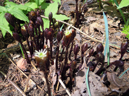 120430-12.jpg
