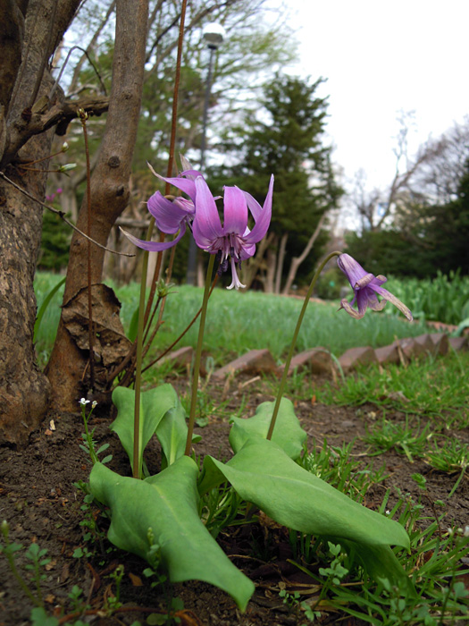 120501-03.jpg