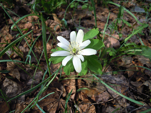120501-05.jpg