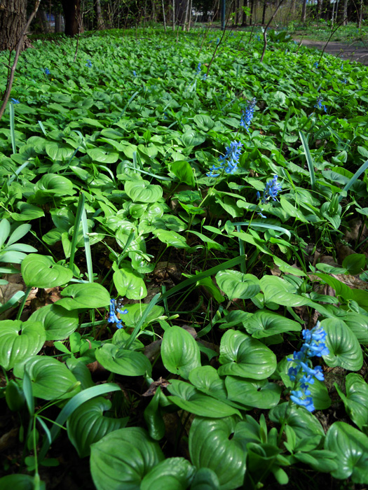 120501-06.jpg