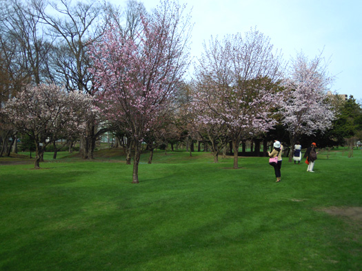 120501-10.jpg