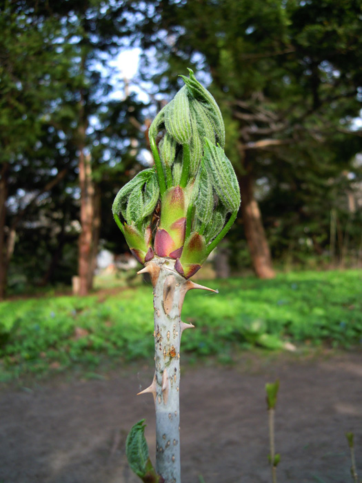 120501-11.jpg