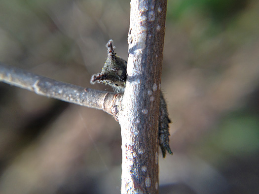 120502-01.jpg