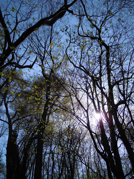 120502-03.jpg