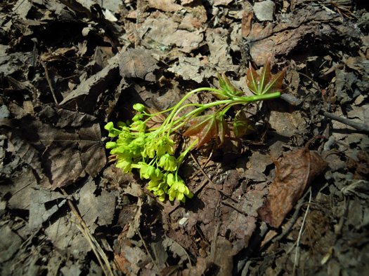120502-04.jpg