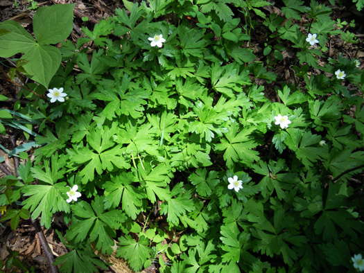 120502-08.jpg