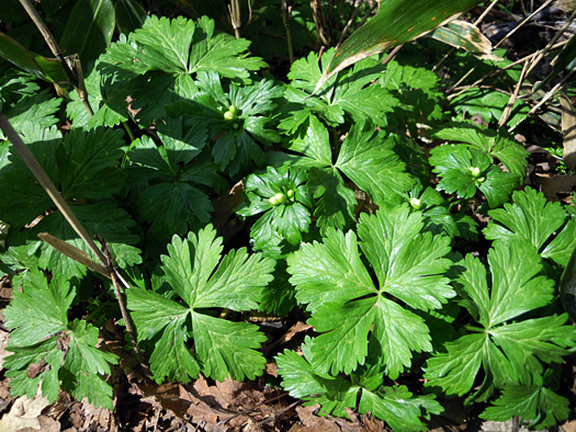 120502-09.jpg