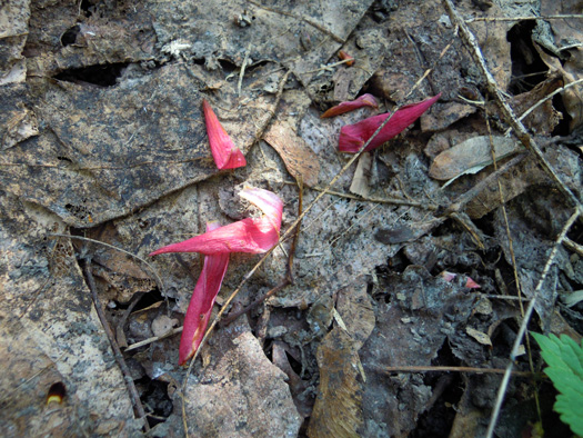 120502-10.jpg
