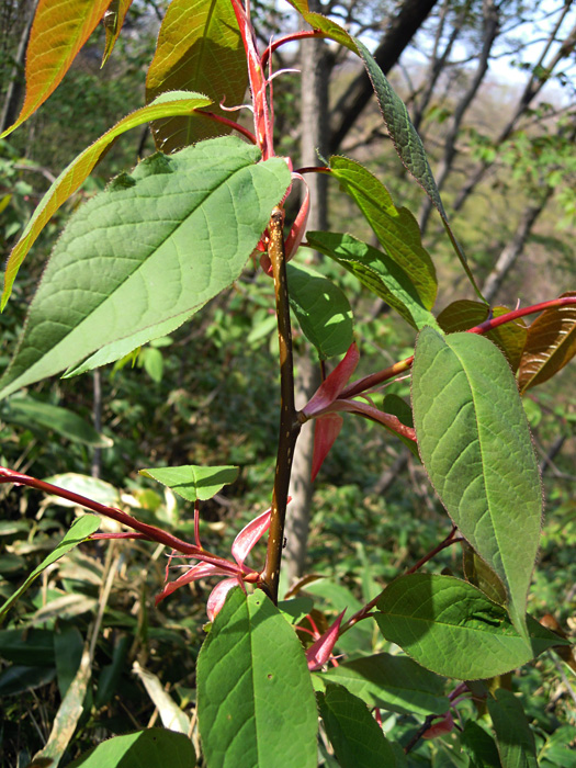 120502-11.jpg