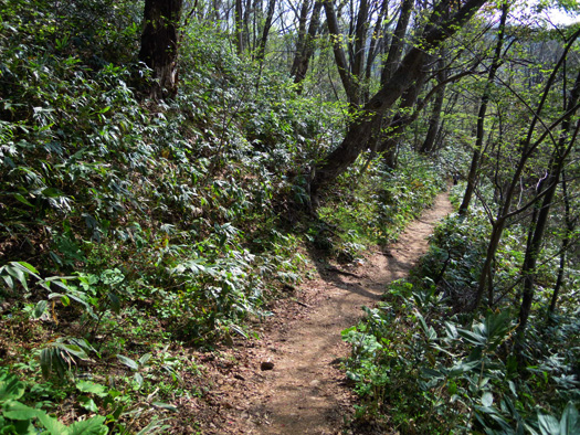 120502-12.jpg