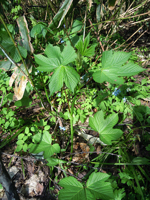 120502-13.jpg